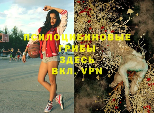 Альфа ПВП Новодвинск