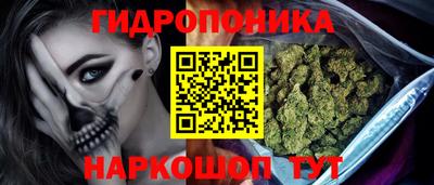 соль ск Гатчина