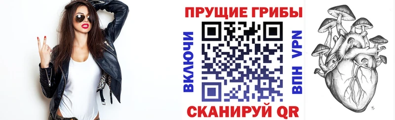 Галлюциногенные грибы мицелий  даркнет телеграм  Сланцы 