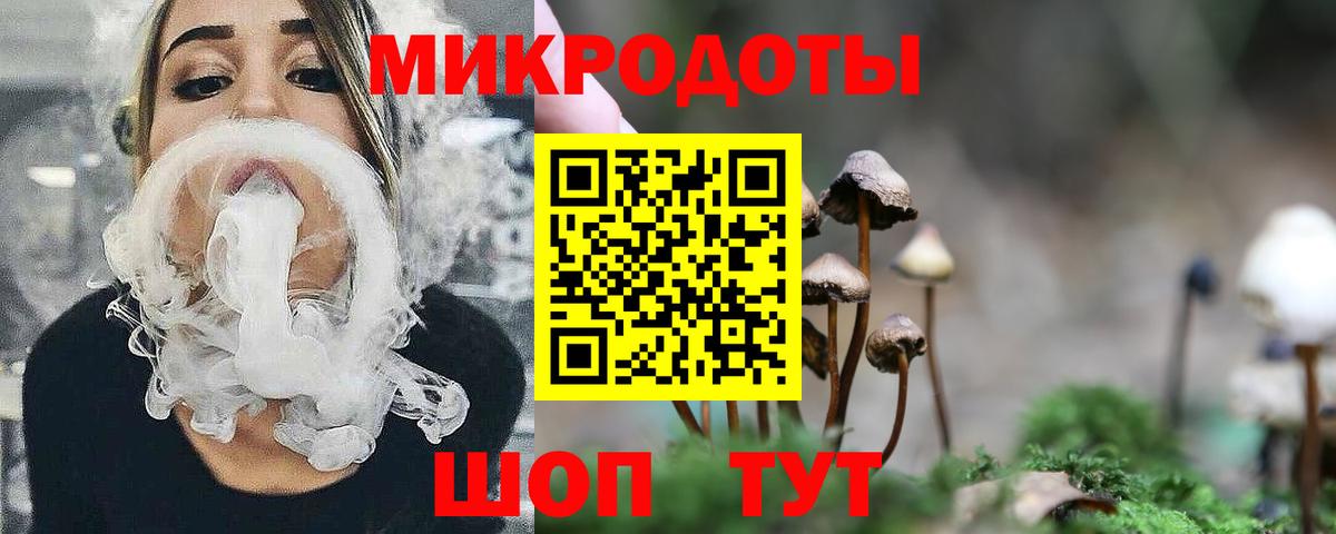 Псилоцибиновые грибы Psilocybe  Псилоцибиновые грибы ЛСД  Сланцы  Вход с VPN 