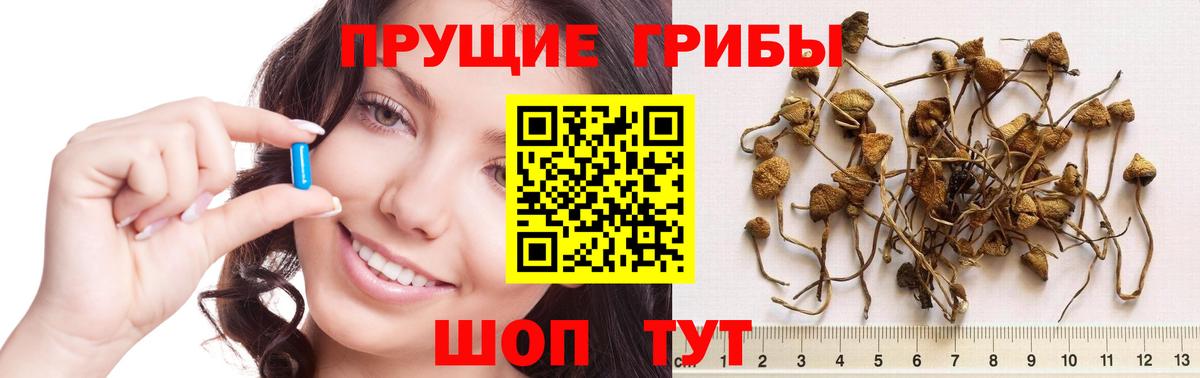 Сланцы  Бошки Шишки  Вход с VPN  Мефедрон   КОКАИН  МЕТАДОН 