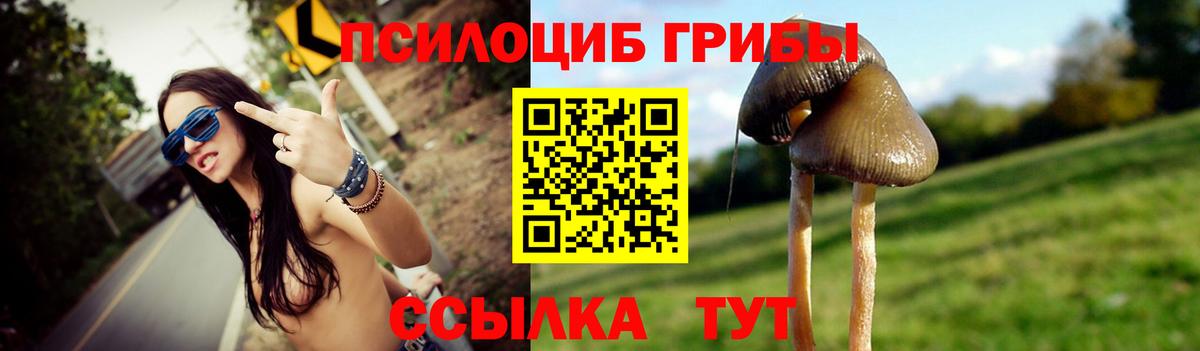 Галлюциногенные грибы ЛСД Сланцы